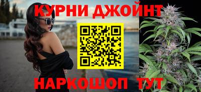 шишки Аргун