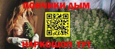 шишки Аргун