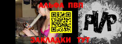 шишки Аргун