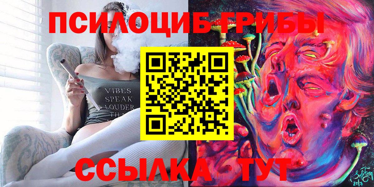 Ачхой-Мартан  закладка  Вход с VPN  Псилоцибиновые грибы Psilocybine cubensis 